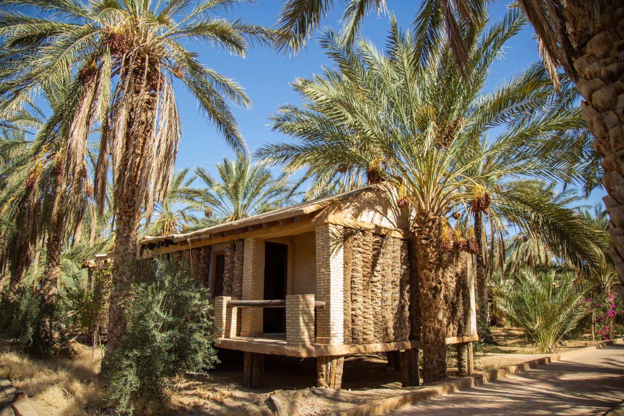 Dar Horchani טוזר מראה חיצוני תמונה