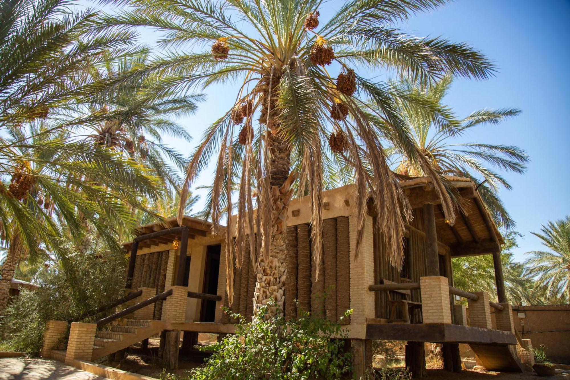 Dar Horchani טוזר מראה חיצוני תמונה
